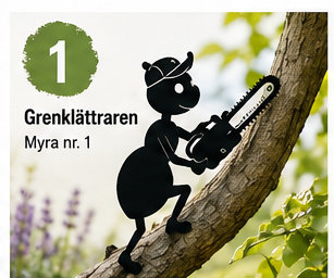 Myra nr 1 Motorsåg