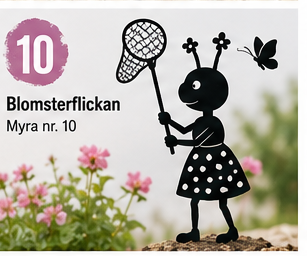 Myra nr 10 Fjärilshåv