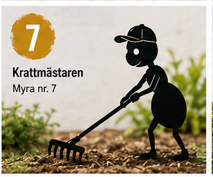 Myra nr 7 Kratta